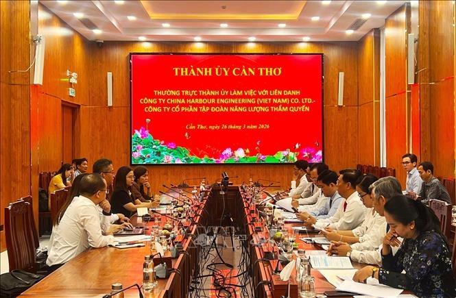 芹苴市与国际投资者就能源领域举行工作会谈